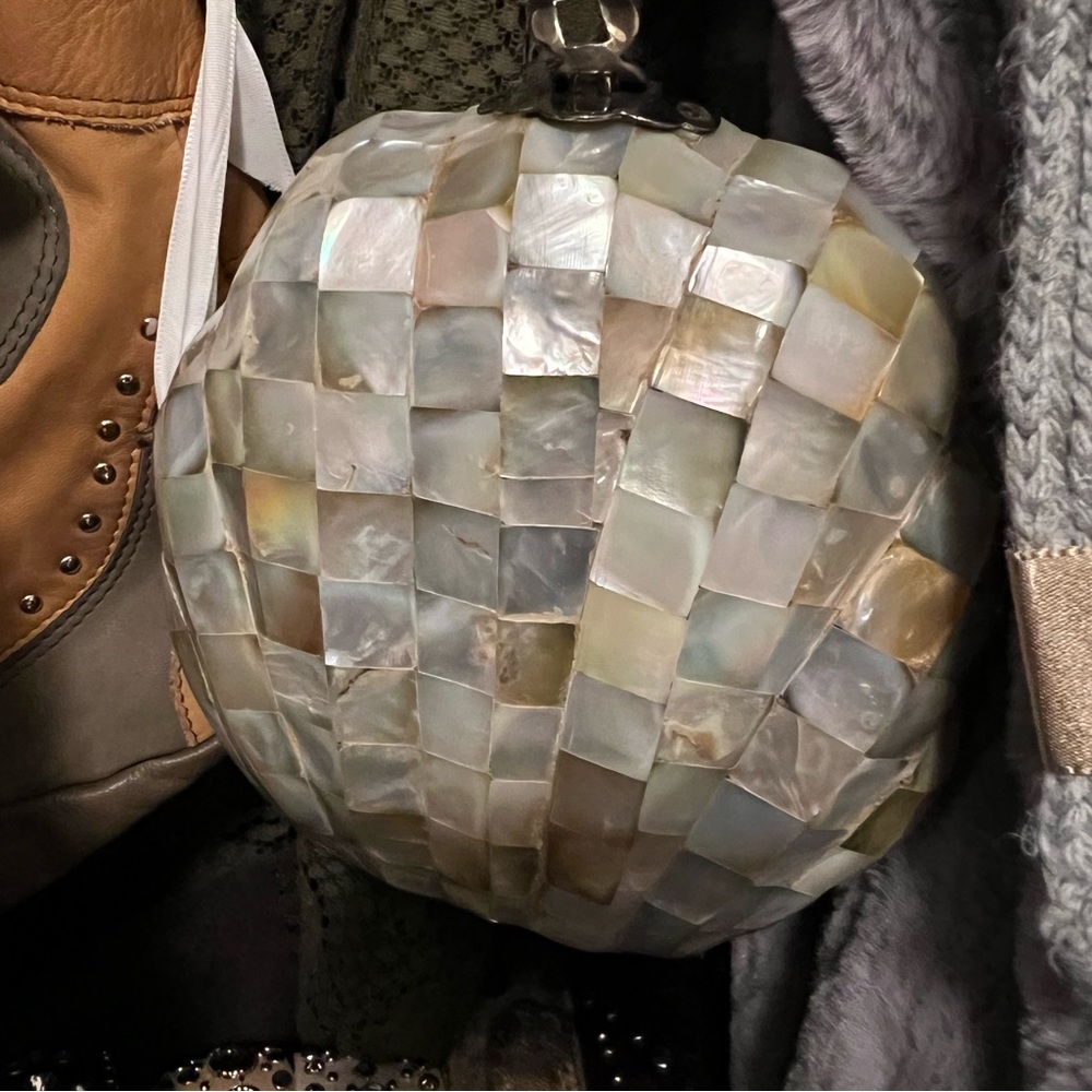 Gorgeous One of a Kind Ladies Evening Bag